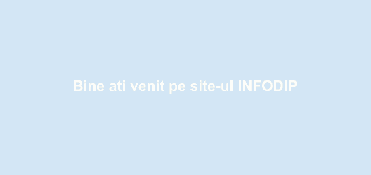 Prezentare INFO-DIP